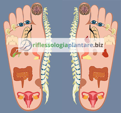 poster riflessologia plantare