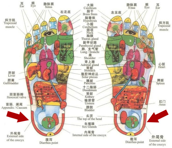 riflessologia plantare ciclo mestruale